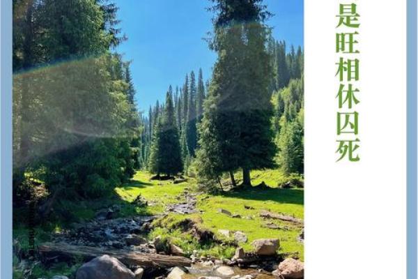 石榴木命与命理般配的秘密：探寻五行的和谐之美