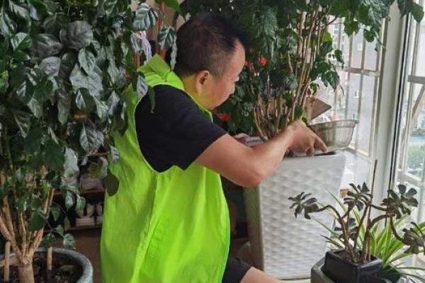 石榴木命男人的植物养护指南：让生活更添生机与快乐！