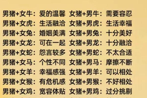 属猪九月出生的人性格与命运解析