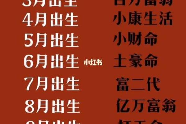 十二月出生的人命运解析：寒冬中的阳光之子