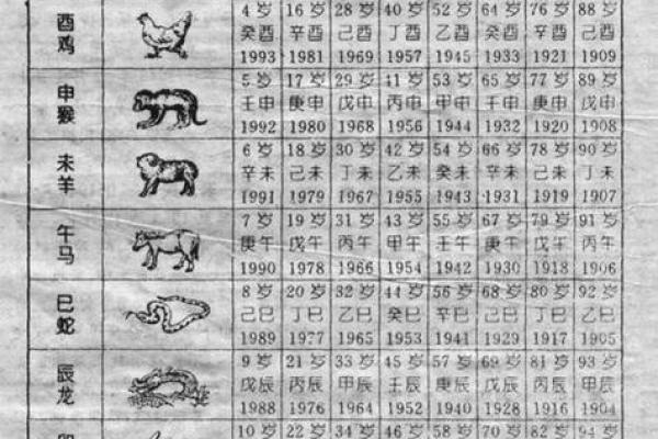 属虎的2月出生者命运解析：如何掌握人生的主动权？