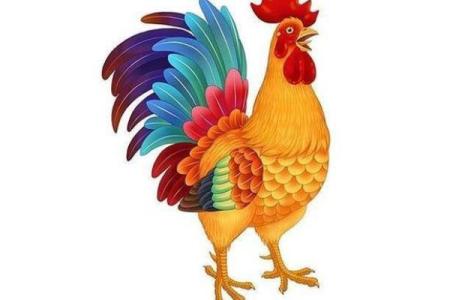 属鸡男1981是“阴金”命，如何把握人生运势和事业发展？