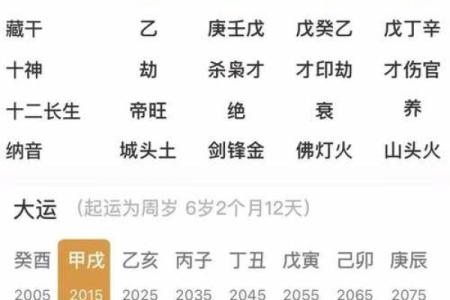 女命甲辰日，命理解析及人生启示