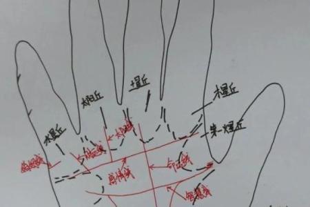 手纹揭秘：第四条纹的命运密码与人生指引