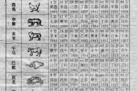 属虎的2月出生者命运解析：如何掌握人生的主动权？