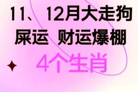 生肖鸡与摩羯座的命运探秘：坚韧与智慧的结合