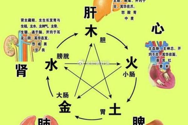 三水三金二火一木:八字命理中的五行奥秘 三水三金二火一木:八字命理中的五行奥秘