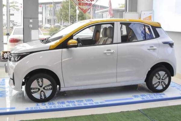 石榴木命人的汽车颜色选择：代表幸福与和谐美好的车主指南