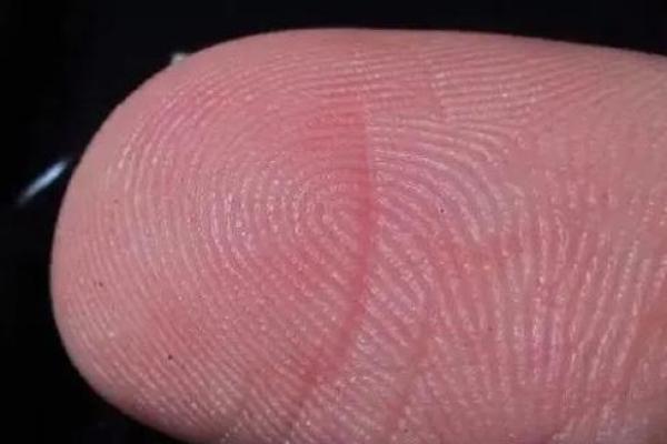 男人手上有5个螺的命理解析与人生启示 男人手上有5个螺的命理解析与人生启示