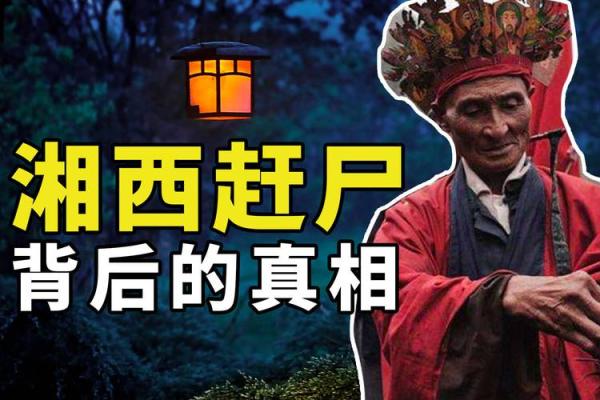 揭秘《尸命南宫》:这位神秘人物的首次登场时间与背景分析! 揭秘《尸命南宫》:这位神秘人物的首次登场时间与背景分析!