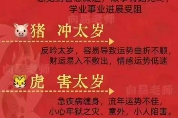 属猪三十八岁后的命运解析:如何顺应命理,迈向人生巅峰 属猪三十八岁后的命运解析:如何顺应命理,迈向人生巅峰