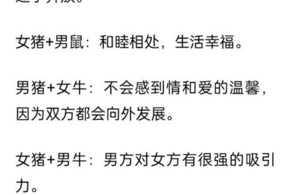 属猪三十八岁后的命运解析:如何顺应命理,迈向人生巅峰 属猪三十八岁后的命运解析:如何顺应命理,迈向人生巅峰