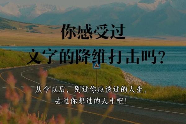 拿什么还命——生命的选择与价值观的碰撞 拿什么还命——生命的选择与价值观的碰撞