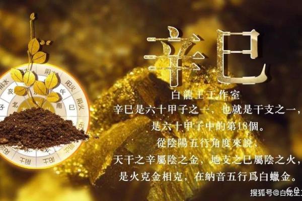 男命辛丑年:适合的日柱解析与运势影响 男命辛丑年:适合的日柱解析与运势影响