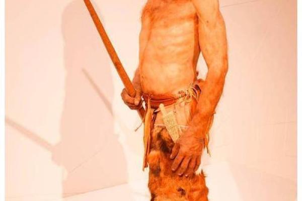 什么样的人算是木命人？揭开木命人的神秘面纱！