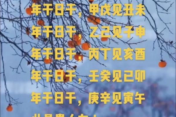 属虎正月十九出生的人:命理解析与人生轨迹 属虎正月十九出生的人:命理解析与人生轨迹