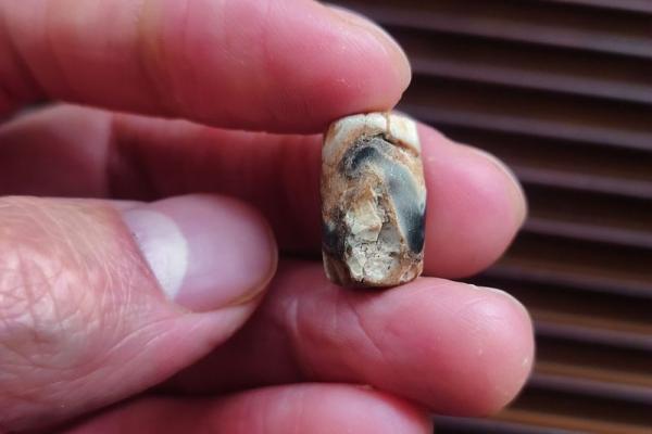 属虎火命的人适合佩戴哪些天珠?一探究竟! 属虎火命的人适合佩戴哪些天珠?一探究竟!