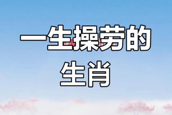 属虎女亥时出生的命运解析:如何找到最佳人生方向 属虎女亥时出生的命运解析:如何找到最佳人生方向