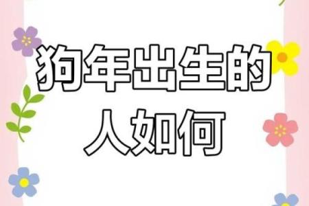 属狗人28岁后的命运解析：如何迎接人生新阶段