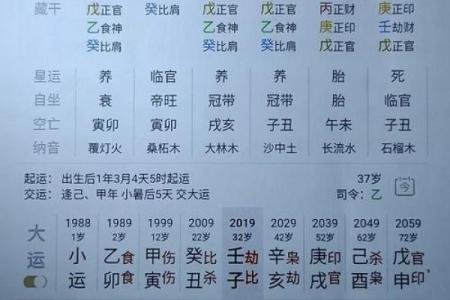 什么样的八字能成为正印命格？浅析阳光下的命理奥秘