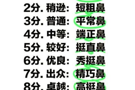 男人鼻子的形状与命运：解读鼻相学带来的生涯启示