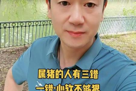 属猪火命人为何选择佩戴桃核？探寻其中深意与益处！