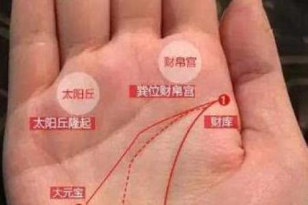 揭秘手相：如何判断你的富贵命格与人生财富