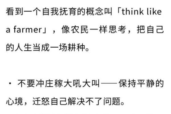 青灯自守,专注内心:探索命理中的深邃智慧与生活哲学 青灯自守,专注内心:探索命理中的深邃智慧与生活哲学