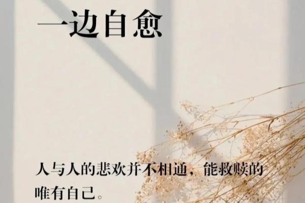 女子清高之命:探究内心的坚韧与灵魂的升华 女子清高之命:探究内心的坚韧与灵魂的升华