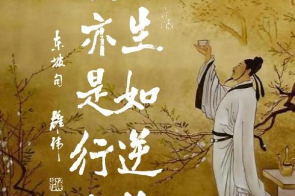 嗜马如命：骑行人生背后的深厚情感与追求