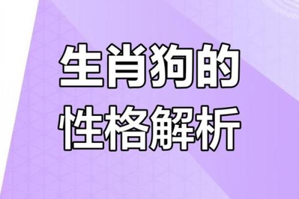 属狗午月出生的人命运解析:性格与运势全揭秘 属狗午月出生的人命运解析:性格与运势全揭秘