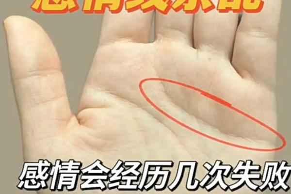 手上几根线,命运如何?探讨命理与人生的奇妙联系 手上几根线,命运如何?探讨命理与人生的奇妙联系