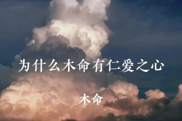 什么是木命人的命?揭示木命人特质与命理奥秘! 什么是木命人的命?揭示木命人特质与命理奥秘!