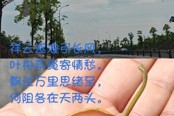 十二出生月命理解析:你的命运由此而生! 十二出生月命理解析:你的命运由此而生!
