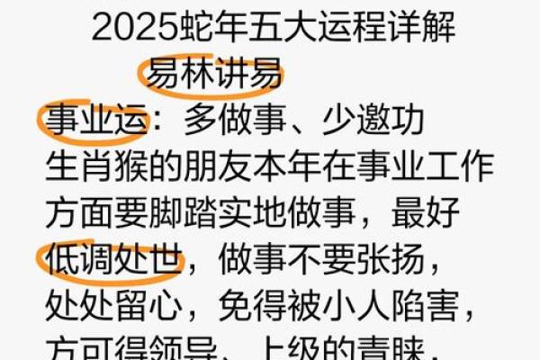 属猴鼠出洞，揭秘其命运与机遇！