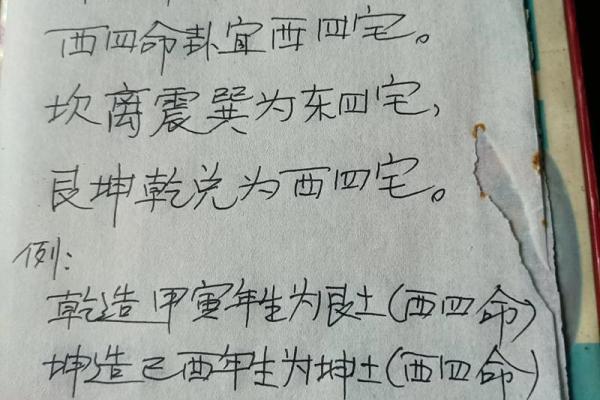 解密命理：探究西四命与东四命的奥秘与启示