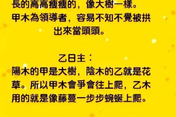 什么是命局金水相逢：探寻命理中的深厚智慧与生命之道