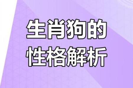 属狗午月出生的人命运解析：性格与运势全揭秘