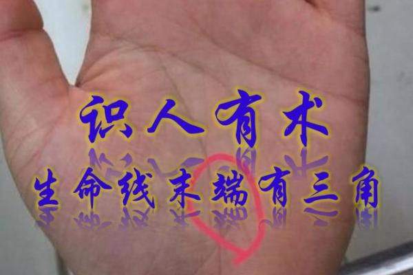 三条生命线：探秘命运与人生的奥秘
