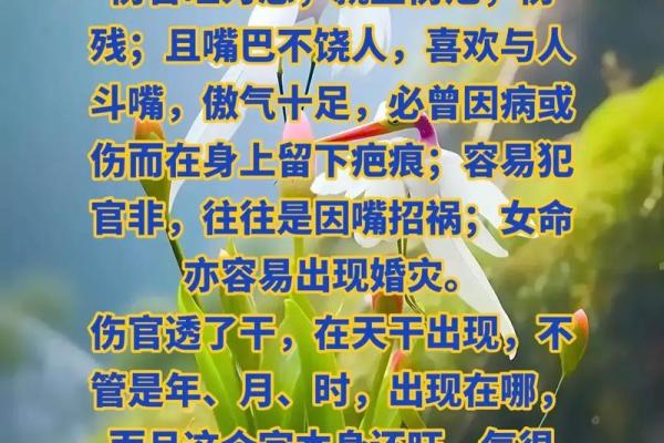 伤官命：如何理解与发挥命理之美