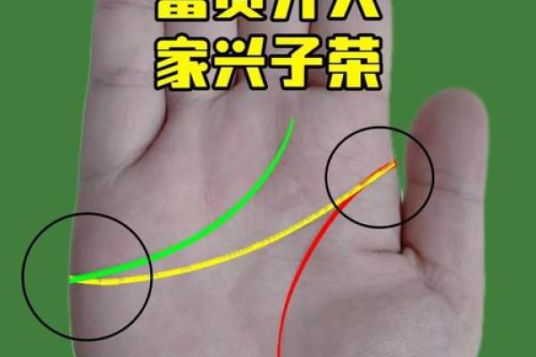 手相三道纹解析：揭示你的命运与个性之路