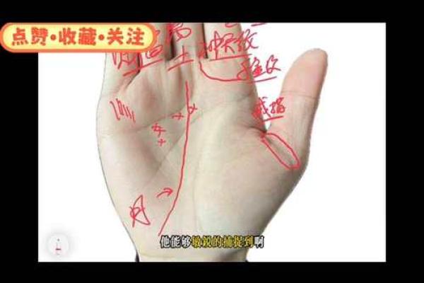 揭开手相的奥秘：你是否具备富贵命格？
