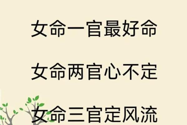 八字命理：如何通过命理之道寻求清闲生活的智慧