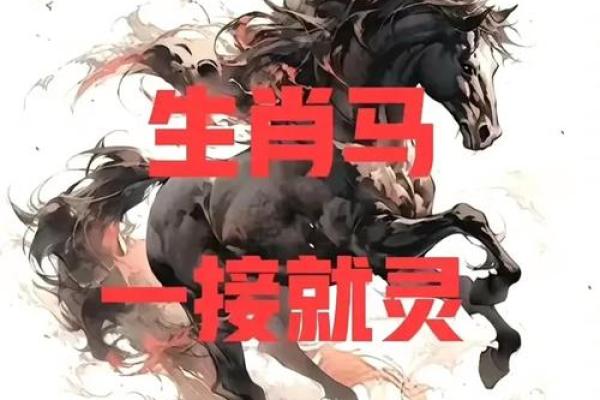 九月属马之人：勇往直前的命运与人生哲学