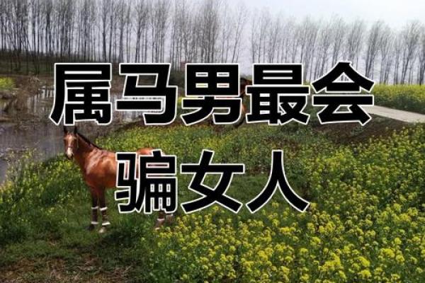 十二月出生的男马:用激情和智慧书写人生的篇章 十二月出生的男马:用激情和智慧书写人生的篇章