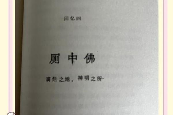 生命的命运：在时光的河流中探索命的奥秘