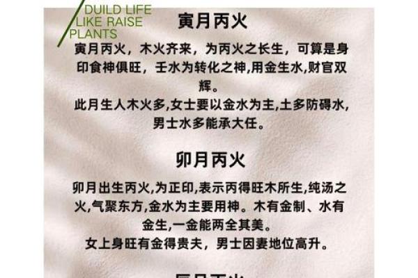 农历91年：探寻戊未之命的独特魅力与命理秘密