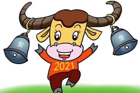 属牛2009年出生的人命运解析与生活指南