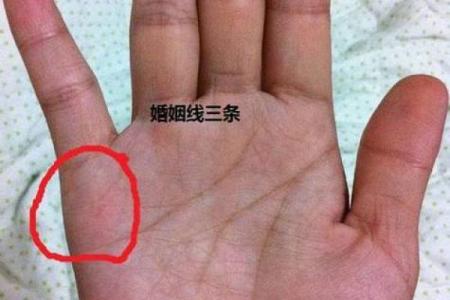 手相三道纹解析：揭示你的命运与个性之路