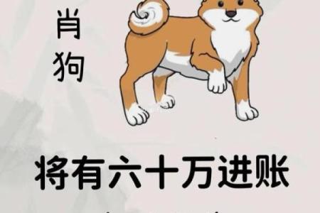 属狗的初七命运解析：解读狗年初七出生者的性格与人生轨迹